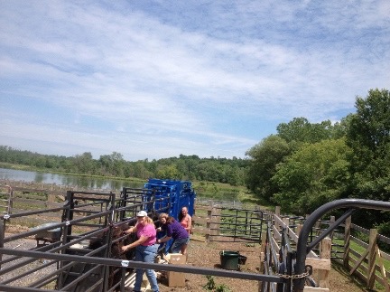 working the chute small